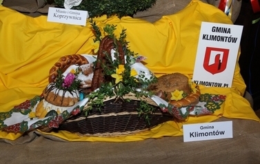 zdjecia Marek Banaczek Muzeum Okręgowe w Sandomierzu