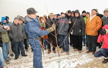 XXIV Spotkanie Sadownicze SANDOMIERZ 2015_8491