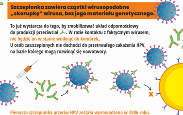 Szczepienia przeciw HPV_infograph_6