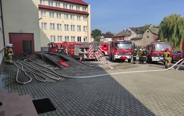 23