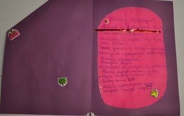 Agata 12 lat