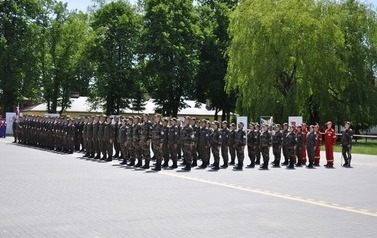 Przysi