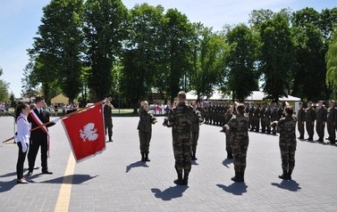 Przysi