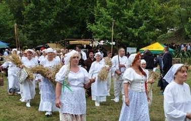 Dożynki Sandomierz 2015