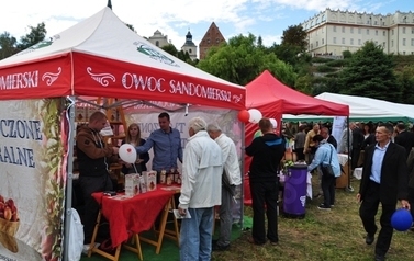 Dożynki Sandomierz 2015