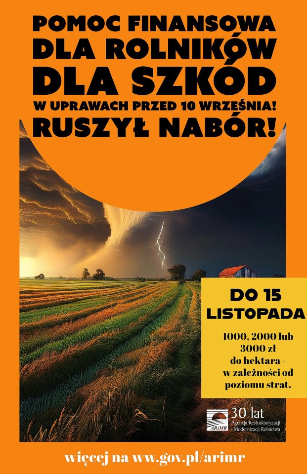 plakat