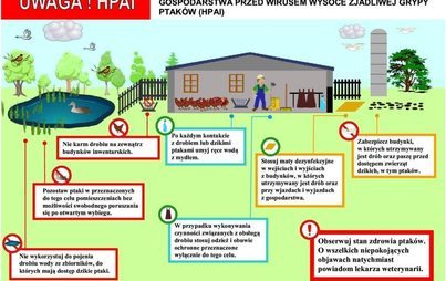 Zdjęcie do Komunikat Świętokrzyskiego Wojew&oacute;dzkiego Lekarza Weterynarii dotyczący ryzyka wystąpienia grypy ptak&oacute;w (HPAI)