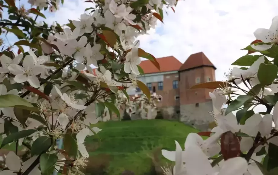 Majówka 2025 w Muzeum Zamkowym w Sandomierzu